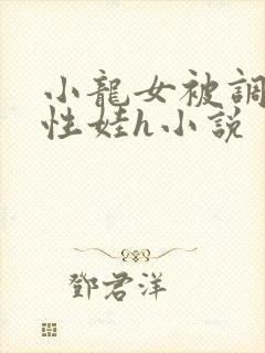 小龙女被调教成性娃h小说封面
