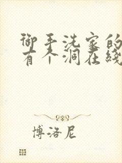 御手洗家的墙上有个洞在线观看