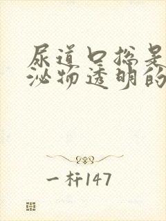 尿道口总是有分泌物透明的