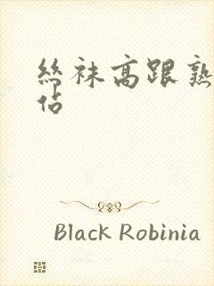 丝袜高跟熟女网站封面