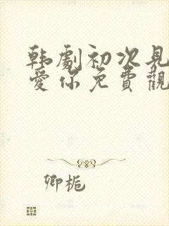 韩剧初次见面我爱你免费观看