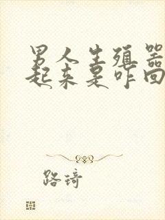 男人生殖器硬不起来是咋回事