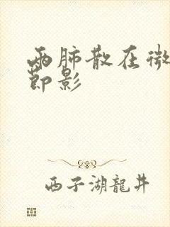 两肺散在微小结节影封面