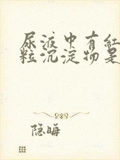 尿液中有红色颗粒沉淀物是什么原因