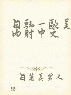 日韩一欧美p片内射中文