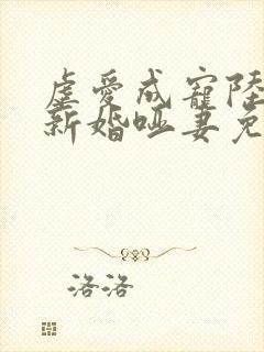 虐爱成宠陆总的新婚哑妻免费