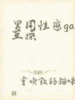 男同性恋gay互操