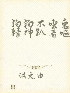 狗狗不吃东西没精神趴着呕吐