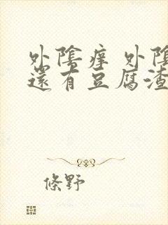 外阴痒 外阴里还有豆腐渣的东西