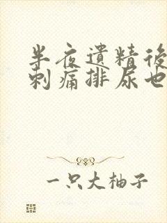 半夜遗精后尿道刺痛排尿也会疼