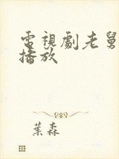 电视剧老舅哪台播放封面