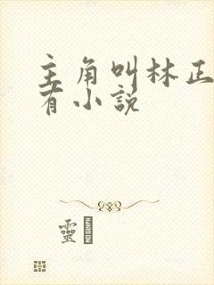 主角叫林正的所有小说