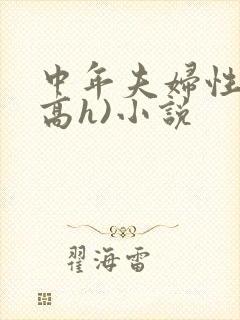 中年夫妇性事(高h)小说