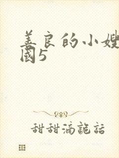 善良的小嫂子韩国5