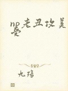 np老丑攻美人受