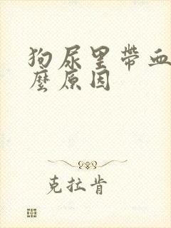 狗尿里带血是什么原因