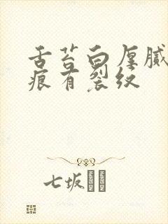 舌苔白厚腻有齿痕有裂纹