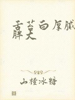 舌苔白厚腻舌体胖大