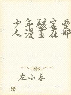 少年骇客爱表同人漫画在哪里看封面