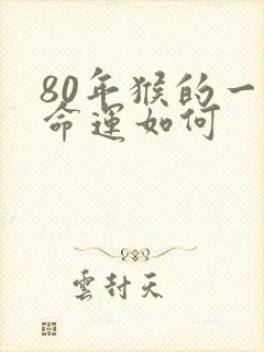 80年猴的一生命运如何