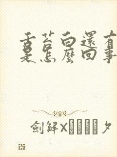 舌苔白还有点黄是怎么回事