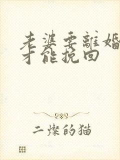 老婆要离婚怎样才能挽回封面