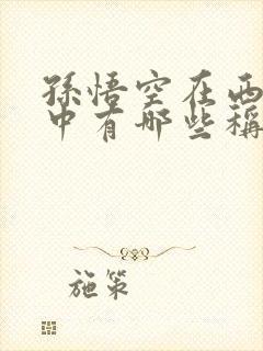 孙悟空在西游记中有哪些称呼