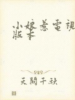 小娘惹电视剧老版本