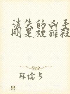 消失的凶手段志刚是被谁杀的