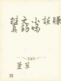 推文小说赚钱是真的吗