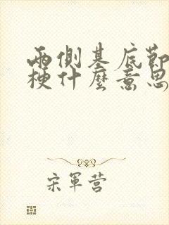 两侧基底节区腔梗什么意思