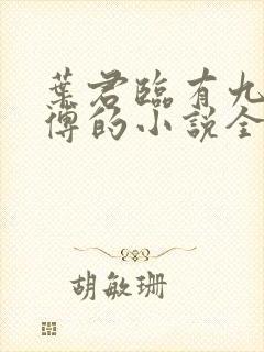 叶君临有九个师傅的小说全集