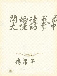 闪婚后 我成了大佬的掌中之物