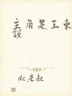主角是王东的小说封面