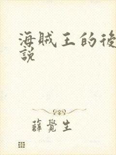 海贼王的后宫小说