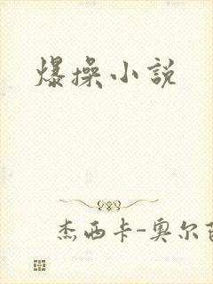 爆操小说