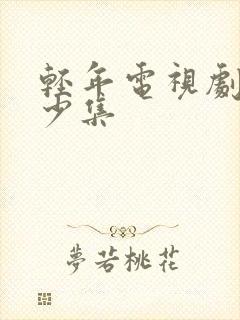 轻年电视剧共多少集封面