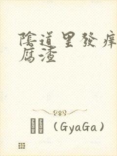 阴道里发痒有豆腐渣