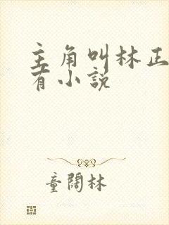 主角叫林正的所有小说