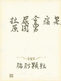 拉尿会痛是什么原因男