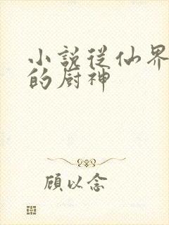 小说从仙界归来的厨神封面