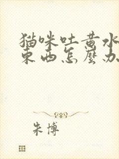 猫咪吐黄水不吃东西怎么办