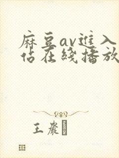 麻豆av进入网站在线播放免费观看