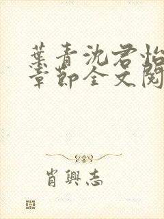 叶青沈君怡最新章节全文阅读封面