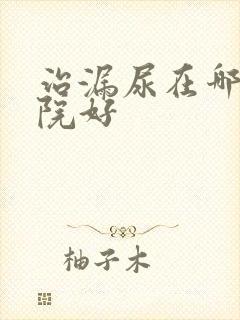 治漏尿在哪个医院好