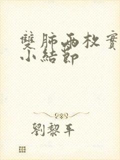 双肺两枚实性微小结节