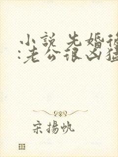 小说 先婚后爱:老公很凶猛