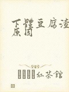 下体豆腐渣白带原因