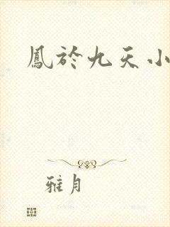凤于九天小说