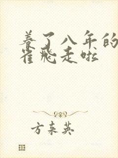 养了八年的金丝雀飞走啦